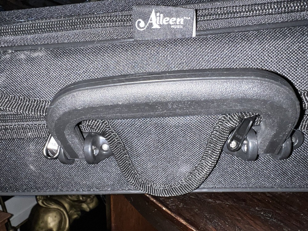 Aileen CSV102 Basic Lightweight Suspension Violin Black Zip Hard Case backpack