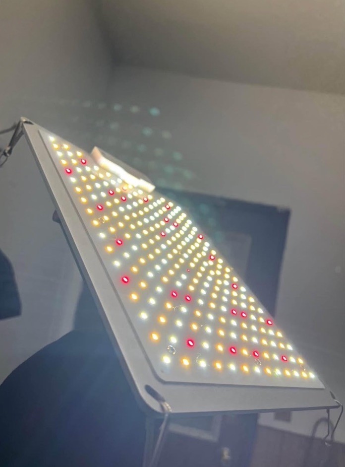LED Grow Light Panel 1000W Dimmable Dial Full Spectrum Multi-Color Hydroponics