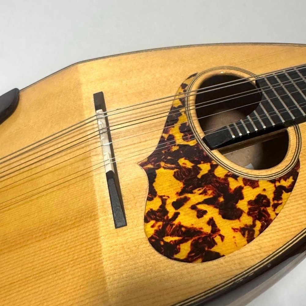 Good condition MONOPIA Mandolin with hard case