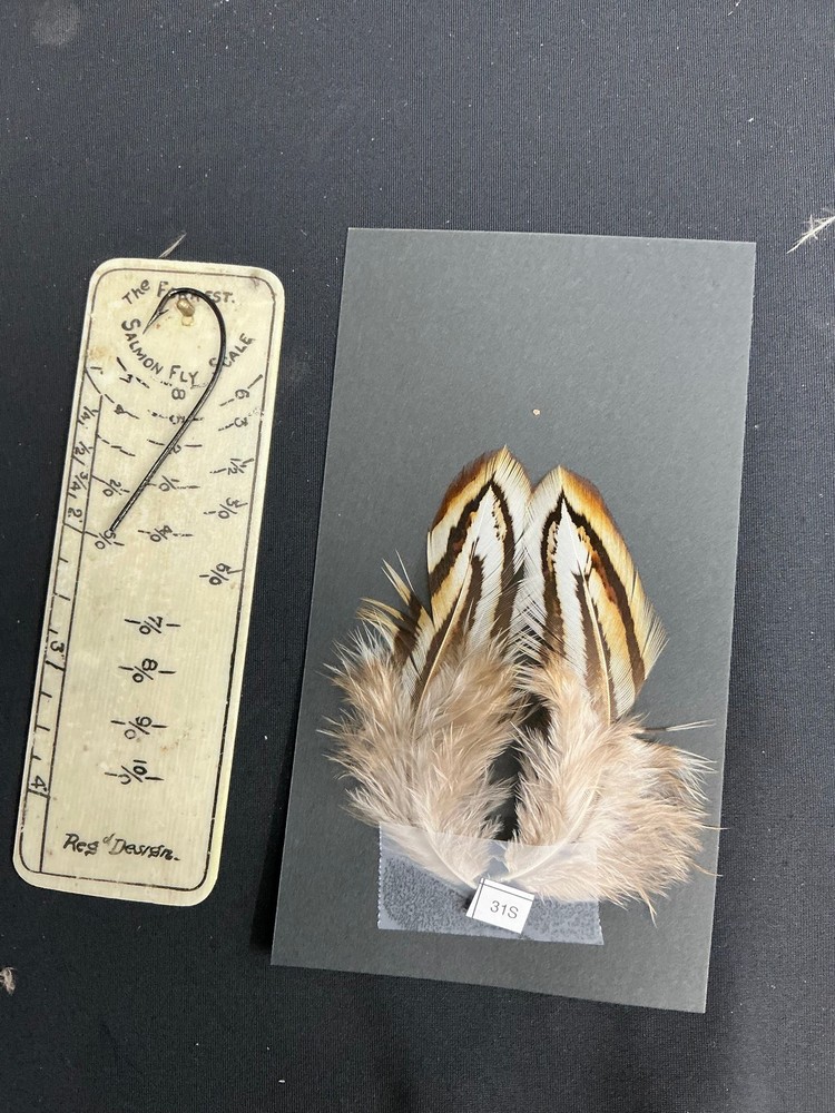 Hybrid Silver/Reeves Cross Pheasant feathers B