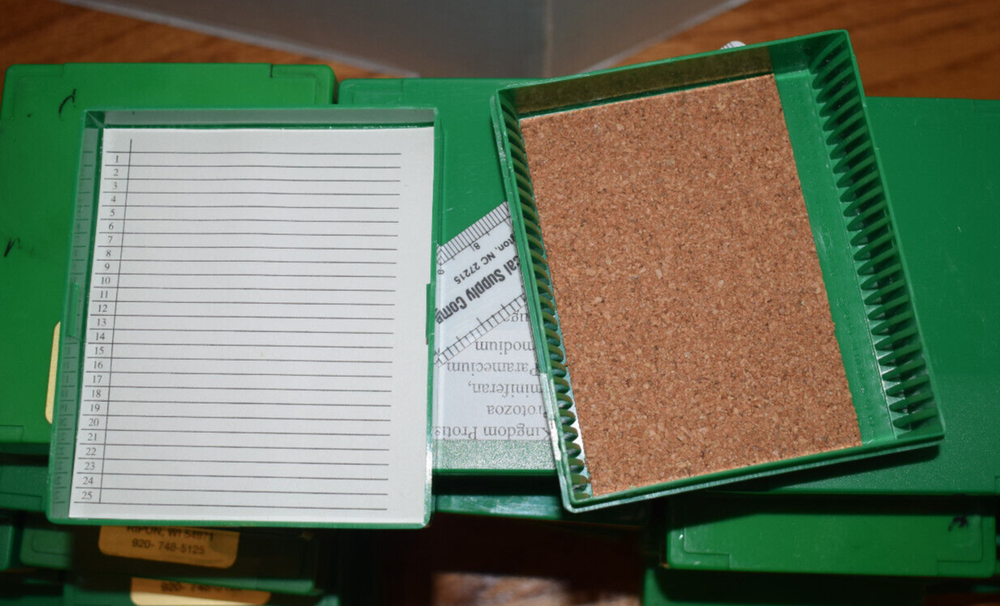 28 green plastic microscope slide boxes