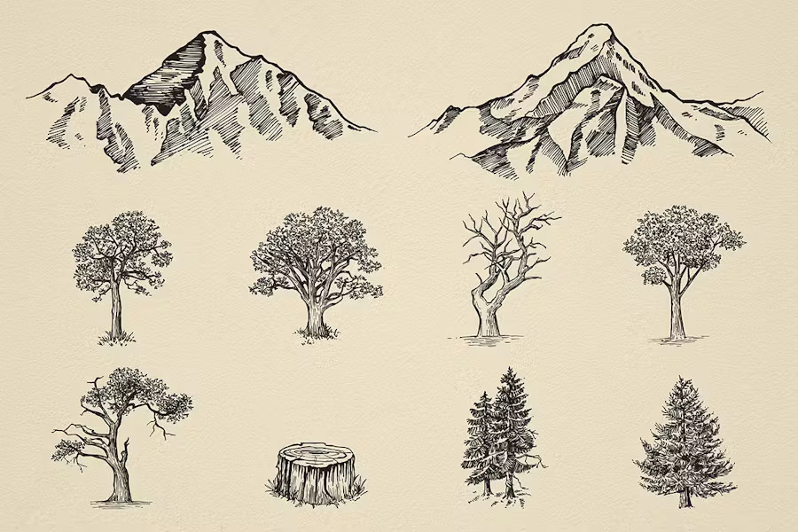 TRENDING Nature Forest Hand-Drawn Vector Elements - 31 Unique Illustrations