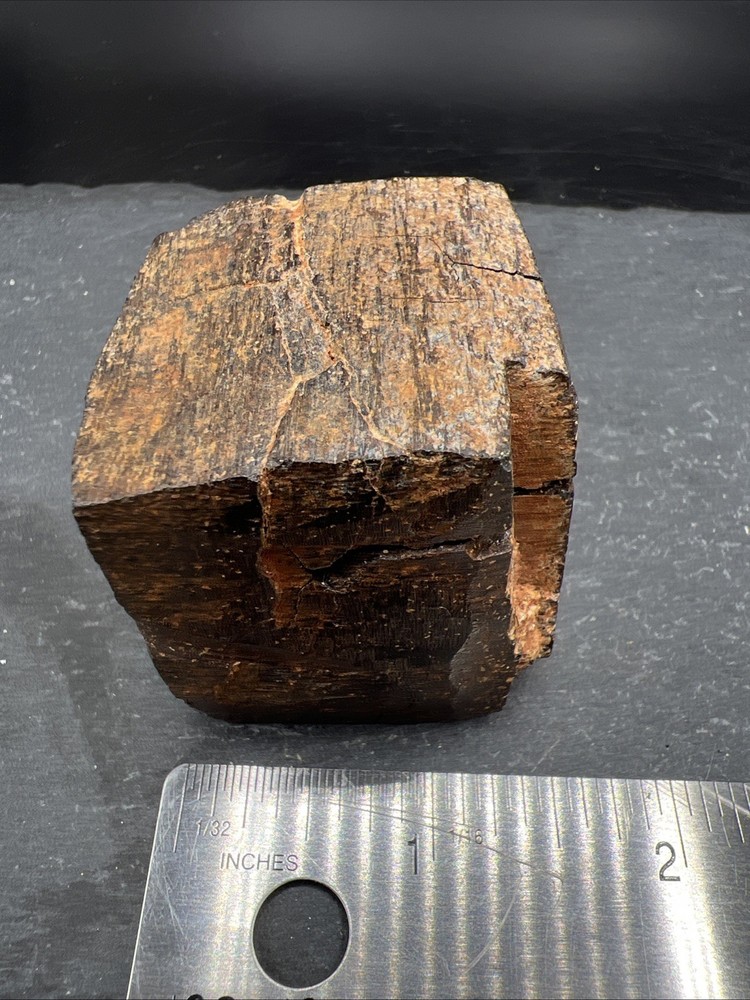 232g Petrified Wood Block Stone