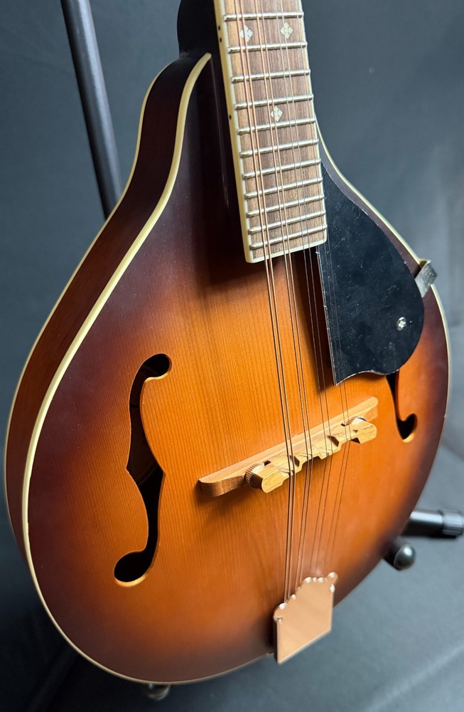 Fender PM-180E Paramount Bluegrass A-Style Mandolin Aged Cognac Burst w/ Fishman