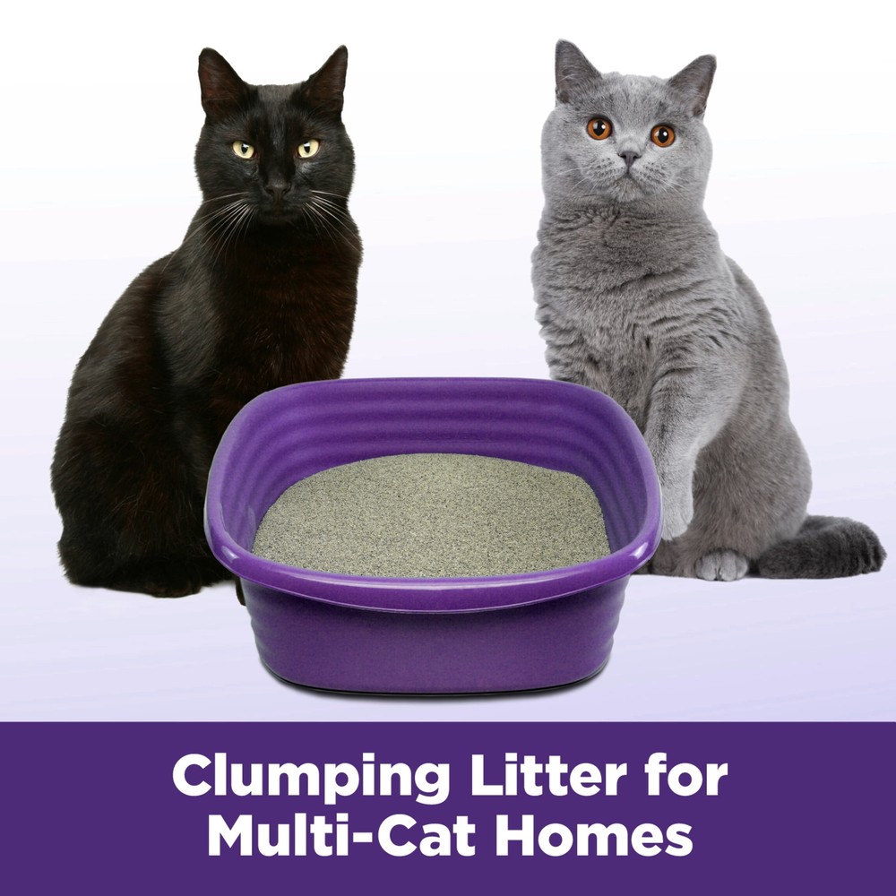 ARM & HAMMER Clump & Seal SLIDE Cat Litter, Easy Clean-up Multi-Cat
