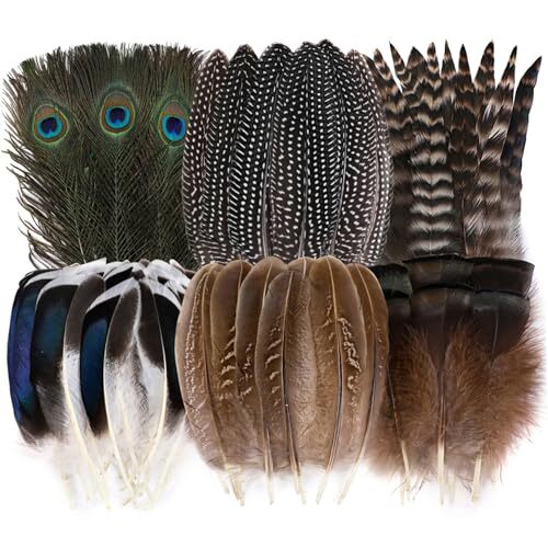 48pcs Natural Feathers Bulk - 6 Styles 48pcs Assorted Natural Feathers,
