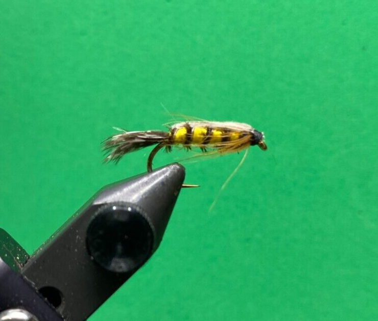 Tellico Nymph: size 12, 12 pcs