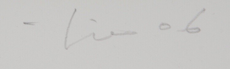 XIAOZE XIE (b. 1966): THE MOMA LIBRARY