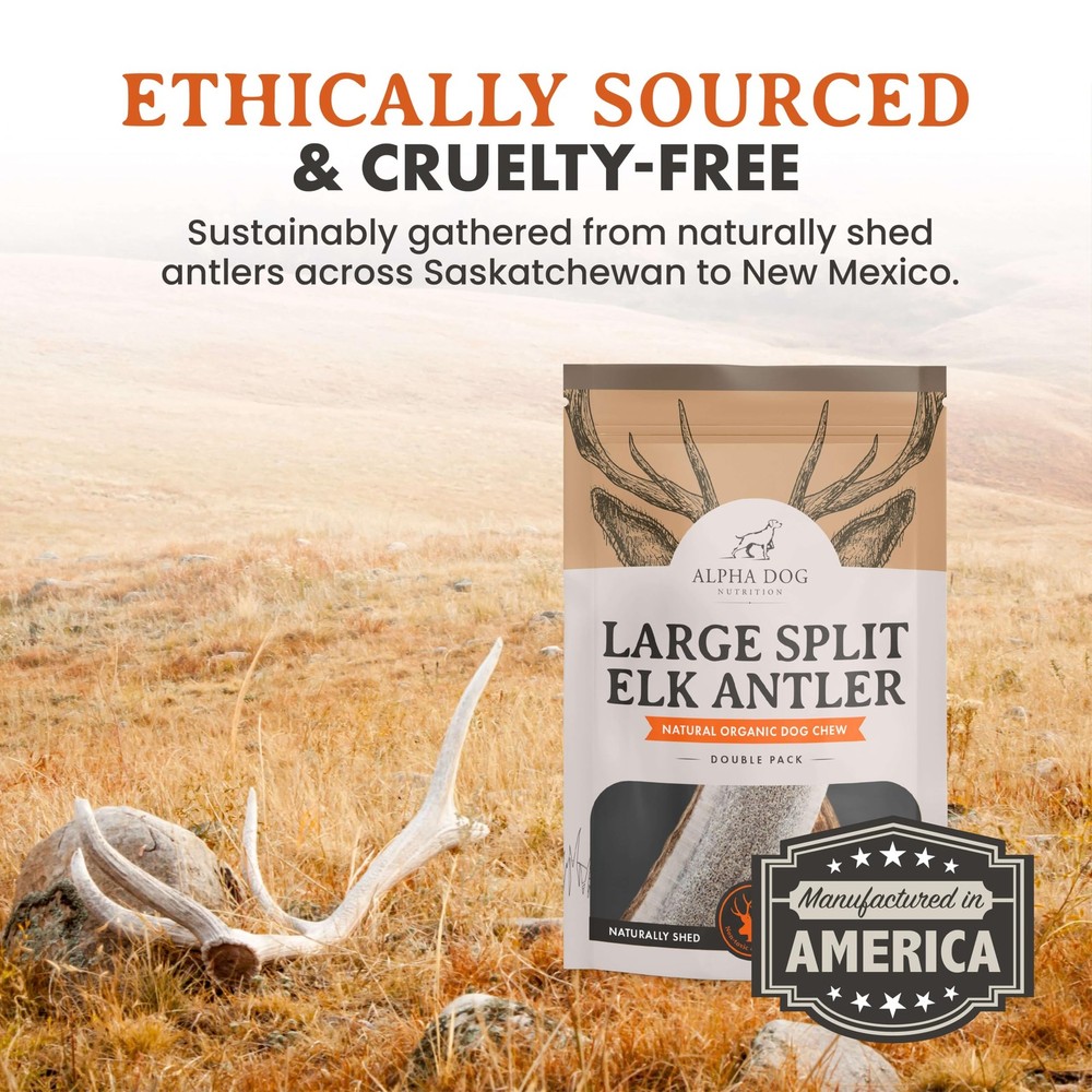 Elk Antler Chews (Large, Split)