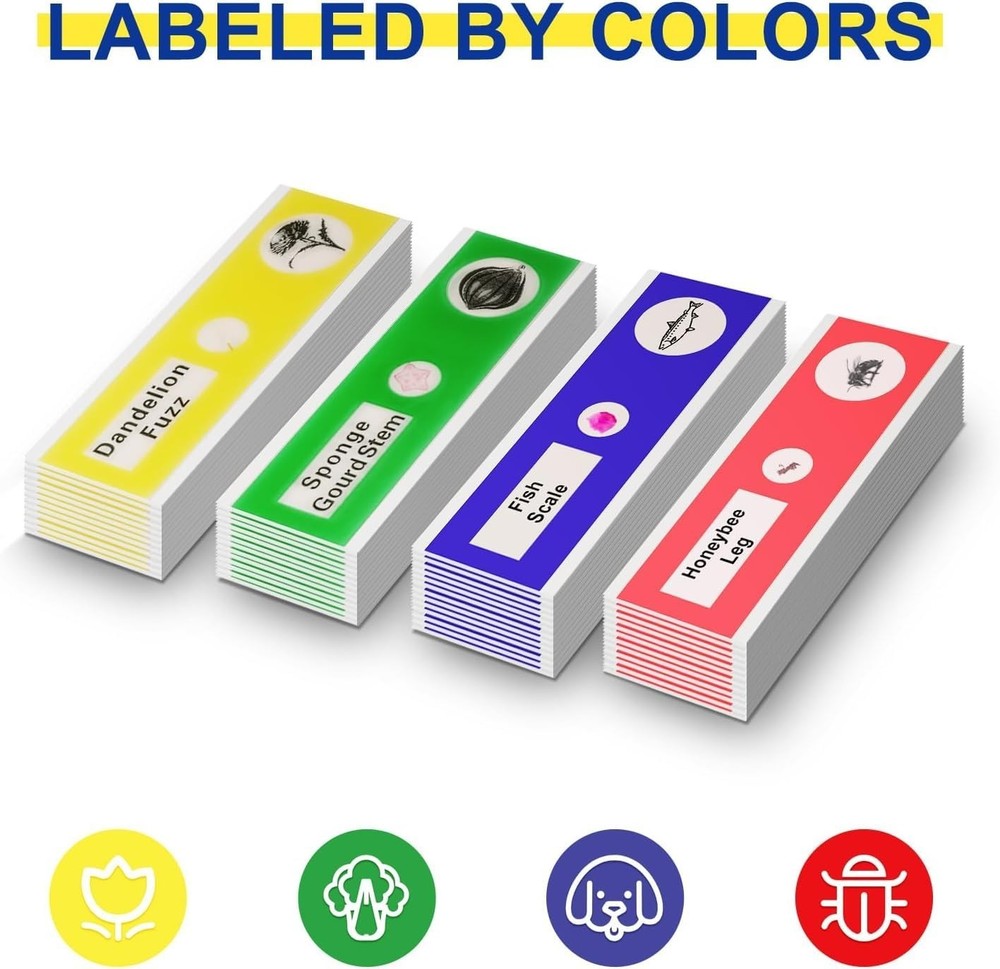 48-Pack Microscope Slides Featuring Plants, Insects - Perfect for STEM Learning