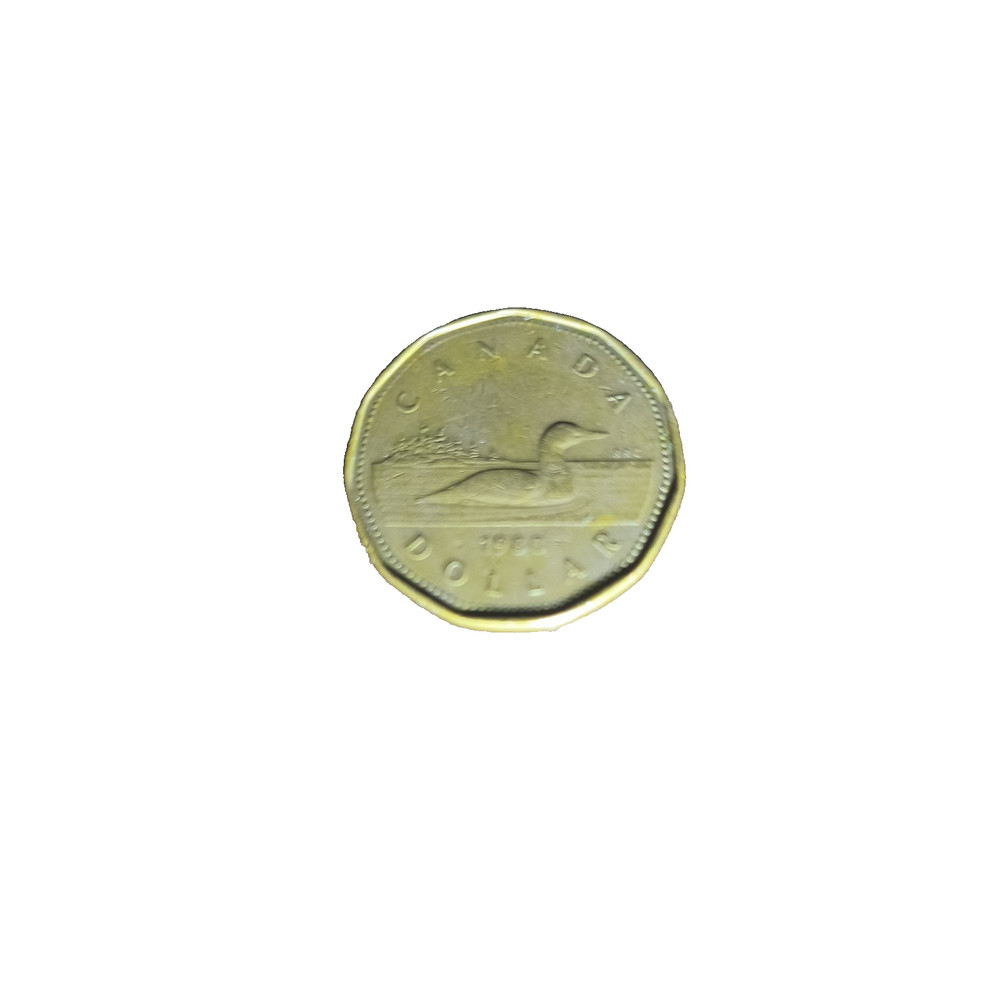 Authentic 1988 Canadian Dollar