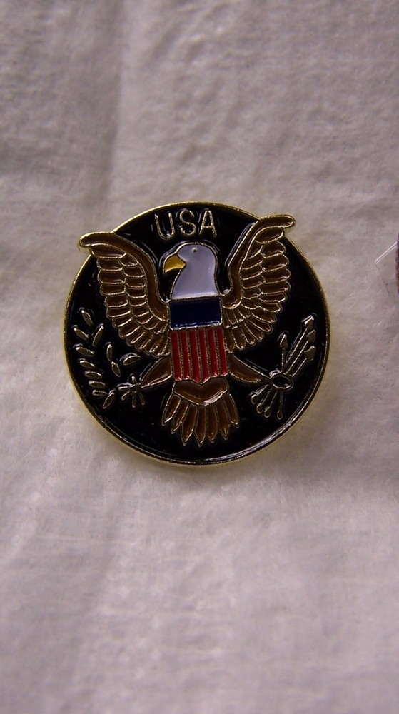 US Army Pin