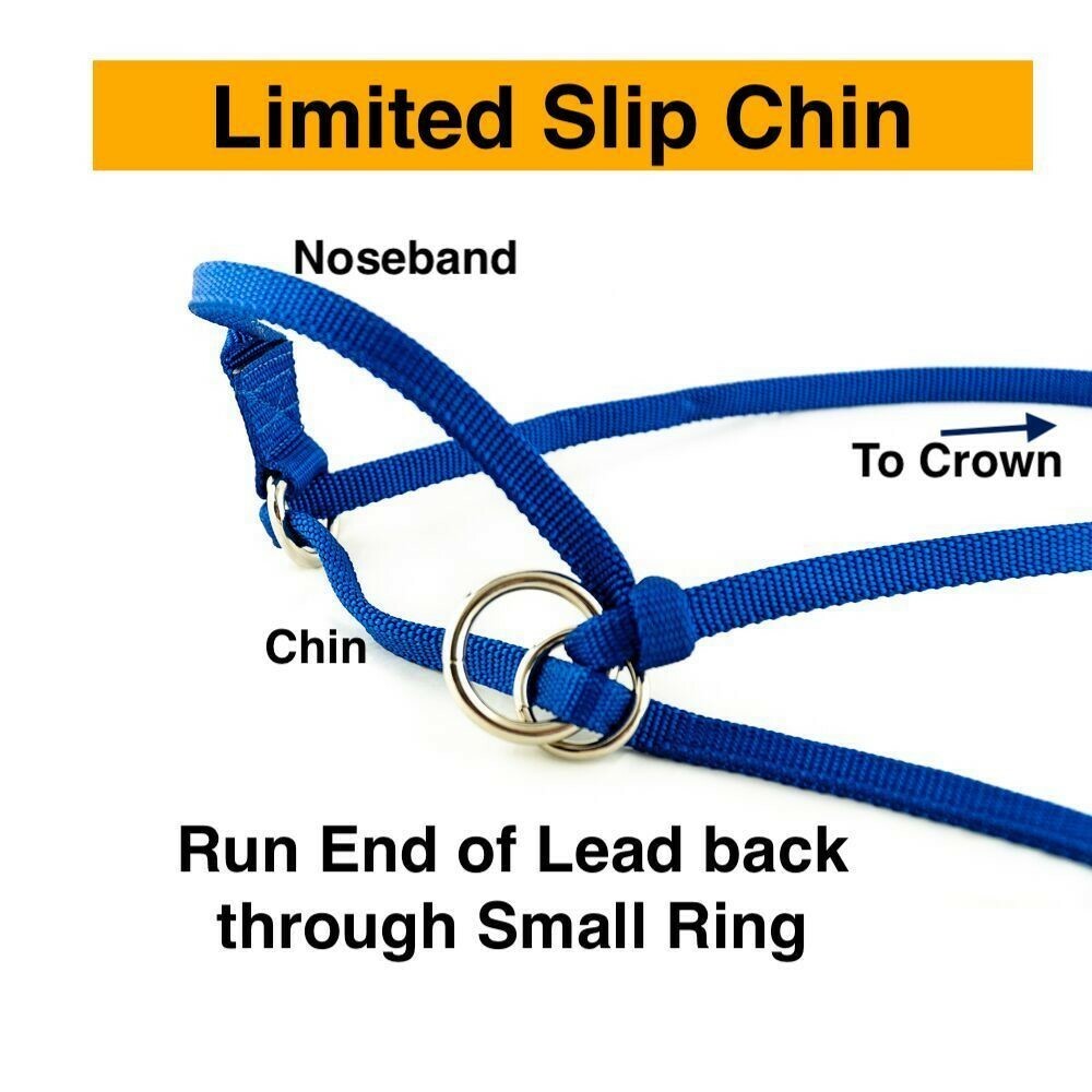 Halter All SMALL Yearling Calf, Mini Cow Endless Adjustable Breaking PATTERN USA