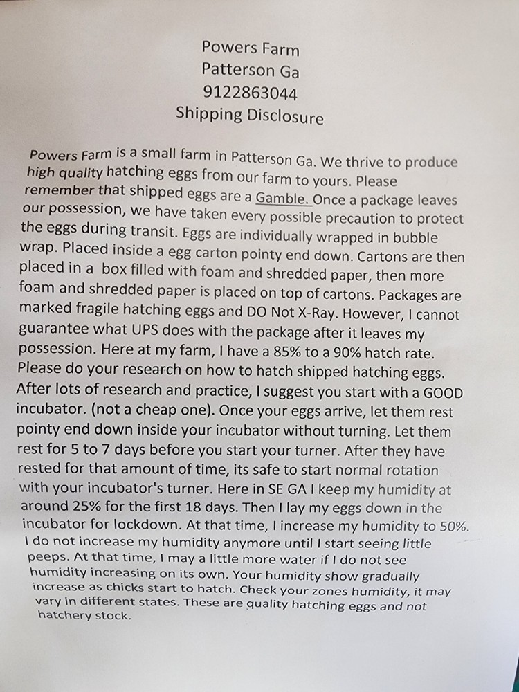 Splash Maran Fertile Hatching Eggs NPIP 12+