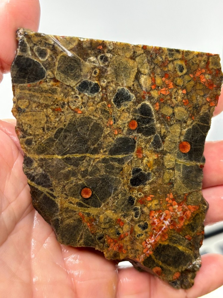 Peanut Obsidian end cut Slab Lapidary Cabbing combo shipping available Mexico