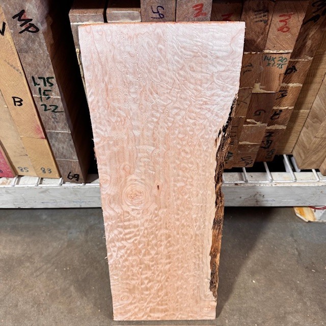 Quilted Maple🍁Billet Dense. Quilt Kiln Dry KD Leaf 22”x8”x.9”