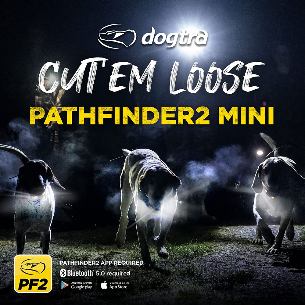Dogtra Pathfinder 2 Mini Built In GPS Tracking and Training All in One System