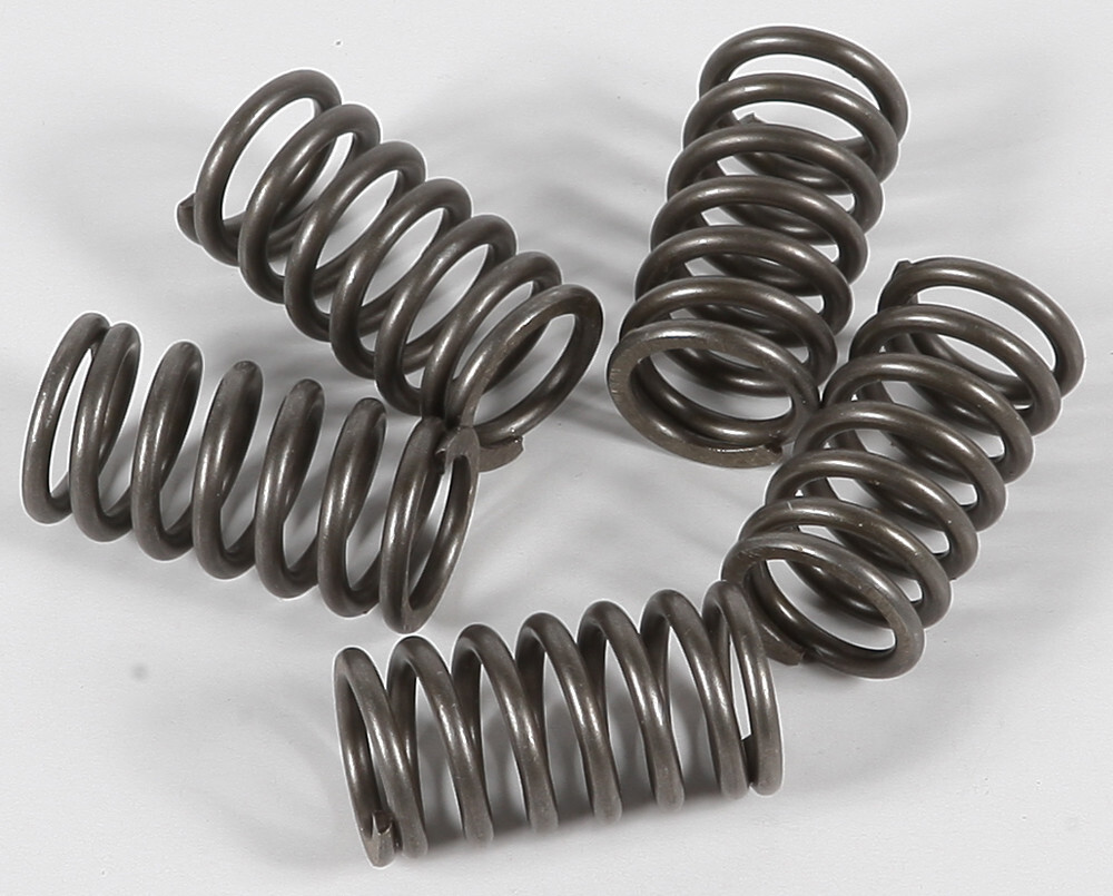 EBC CSK Clutch Spring Kit CSK118