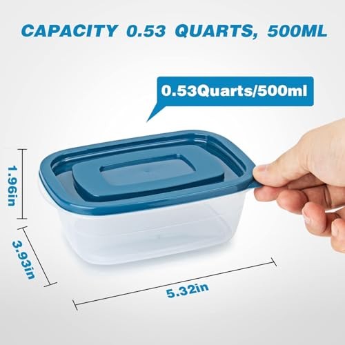 5PCS Small Food Storage Containers,Freezer Small, (500ML Container Set)