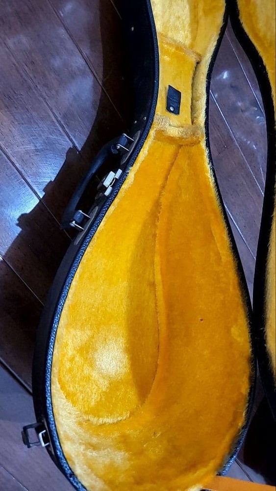 Suzuki Mandolin Violin Junk with some damage Case