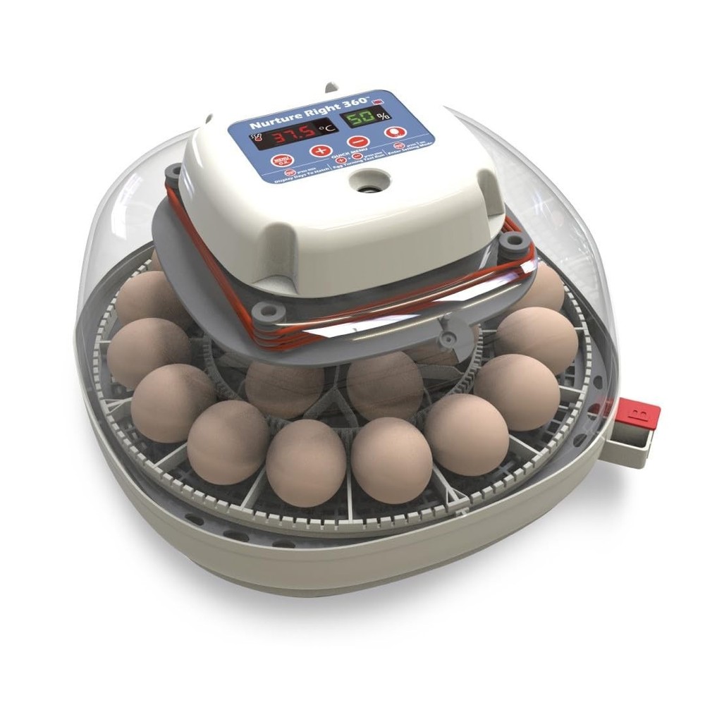 Complete Egg Incubator System for Chickens, Ducks, and Pheasants with Visibility