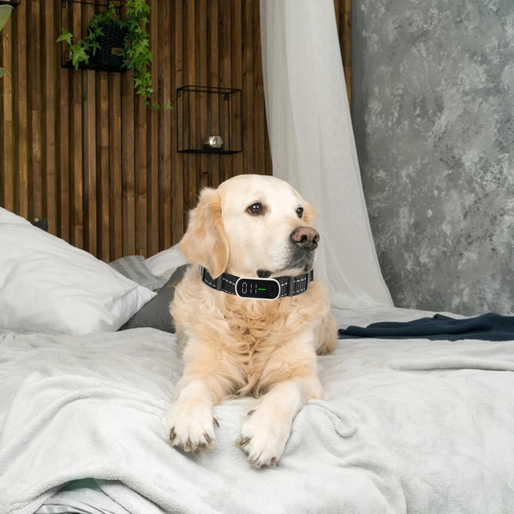 Replacement Collar for Shock Collar Replacement Strap E Collars Replacements Str