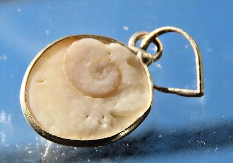 Snail Fossil Pendant