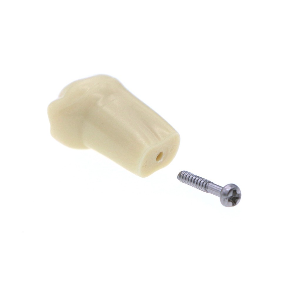 Dental Replacement Frasaco AG3 Type 32PCS Teeth Kit Model Screw-in Typodont
