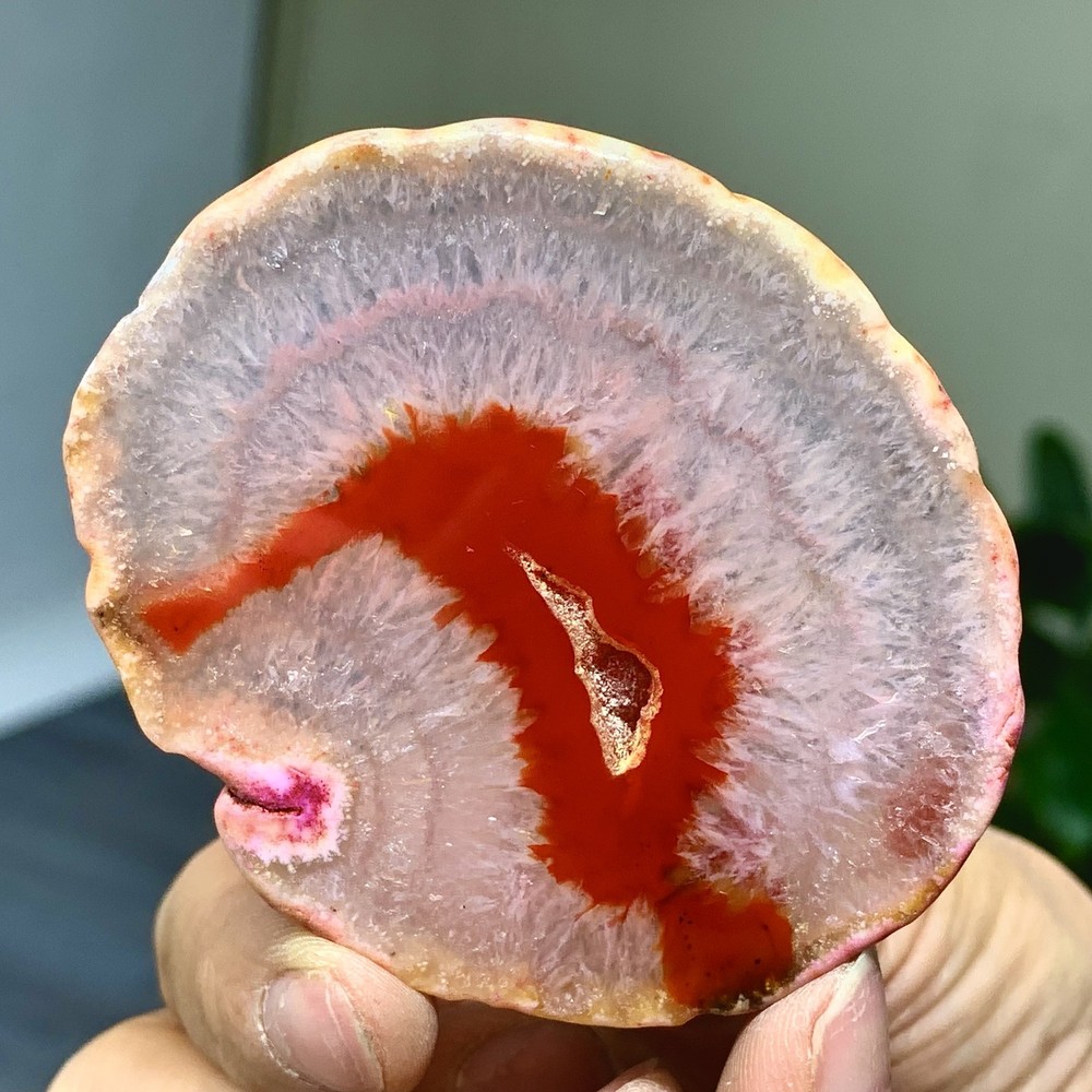 42G Natural Beautiful Agate Geode Druzy Slice Extra Large Gemstone