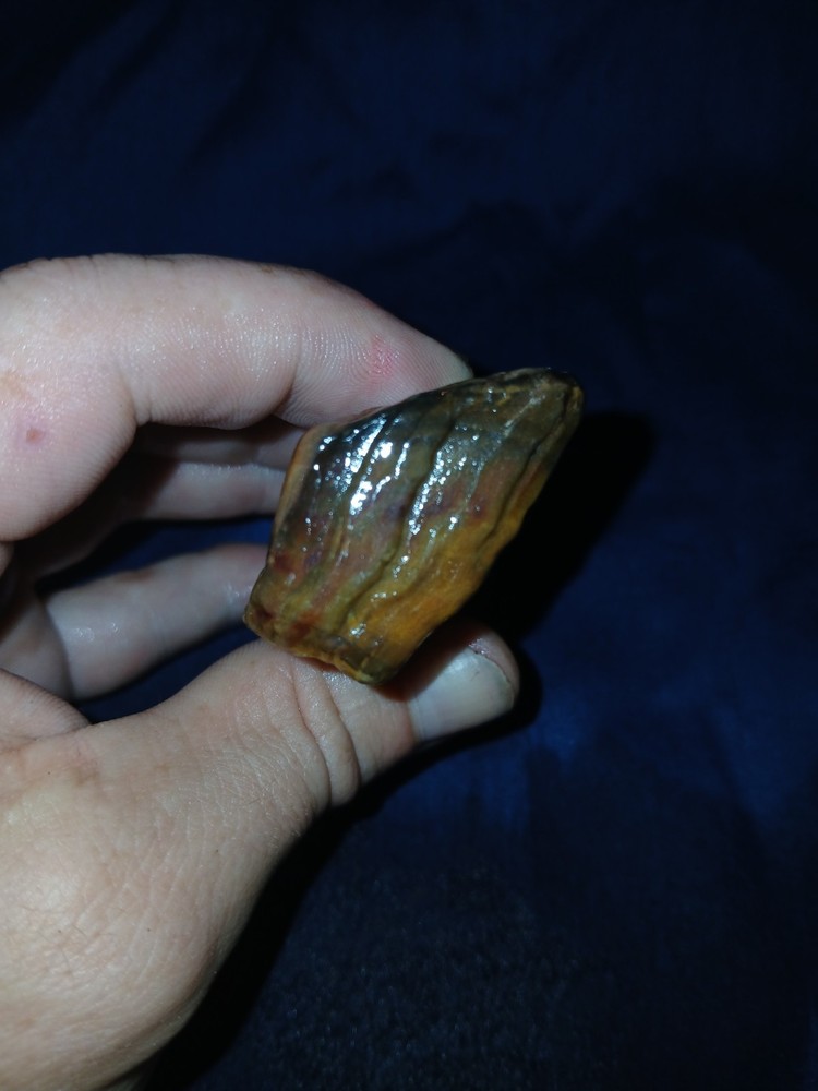 3.5 oz Agatized Petrified Wood