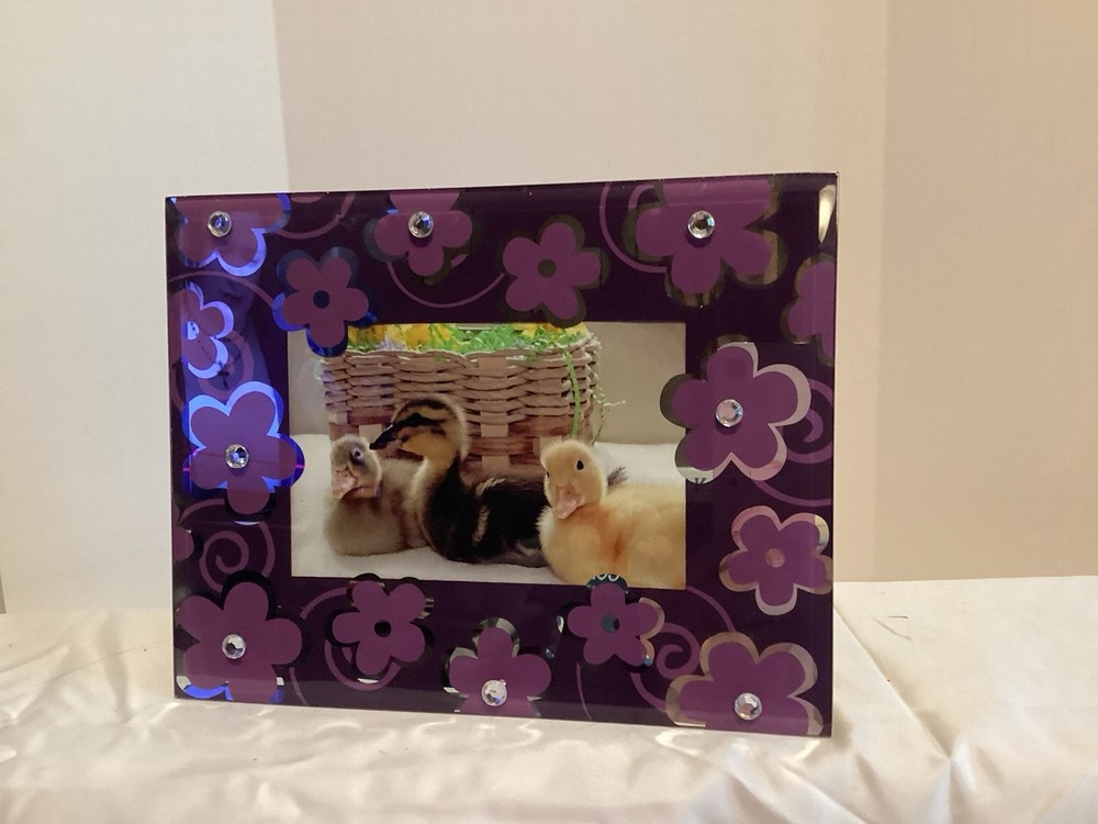Retro Vintage, Purple/ Silver Glass Frame