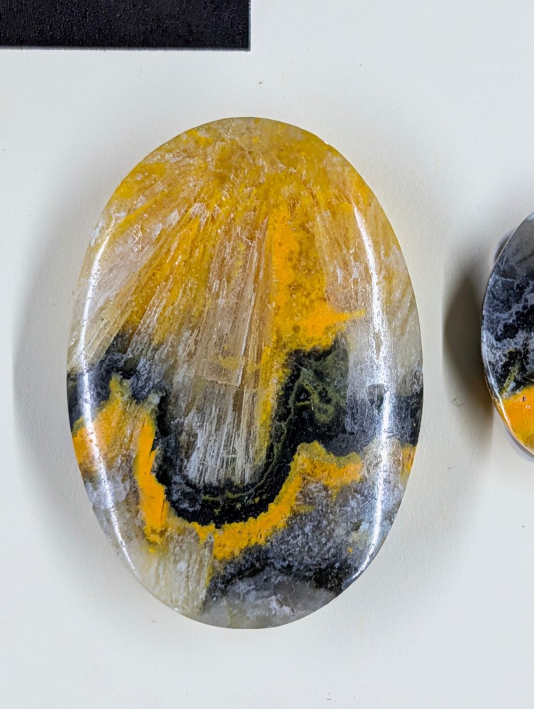 Oval Shape - Bumblebee Jasper - Design-Ready Set