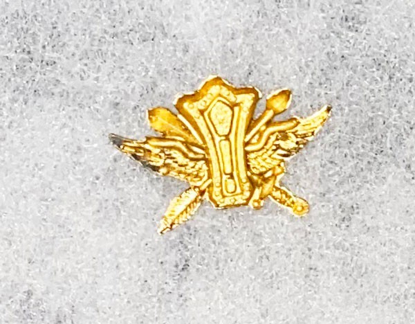 ROK / SKN Army Qualification Badge