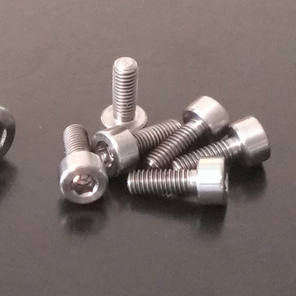Floyd Rose Original Saddle Mounting Screws STAINLESS STEEL (PKG 6) rust proof