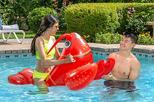 Swimming Pool Float Rider Red Lobster
