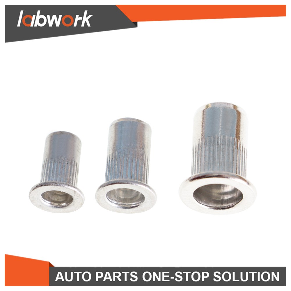 Labwork Rivet Nut Gun Kit Rivnut Tool Setter Thread Setting Nutsert Tool 900 Pcs