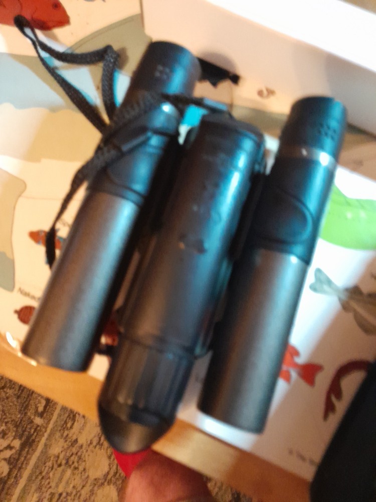 Allring Binocam DCB-132 10X25 Binocular & Digital Camera