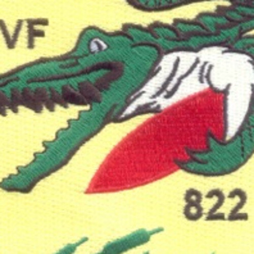 VF-822 Fighter Squadron Patch