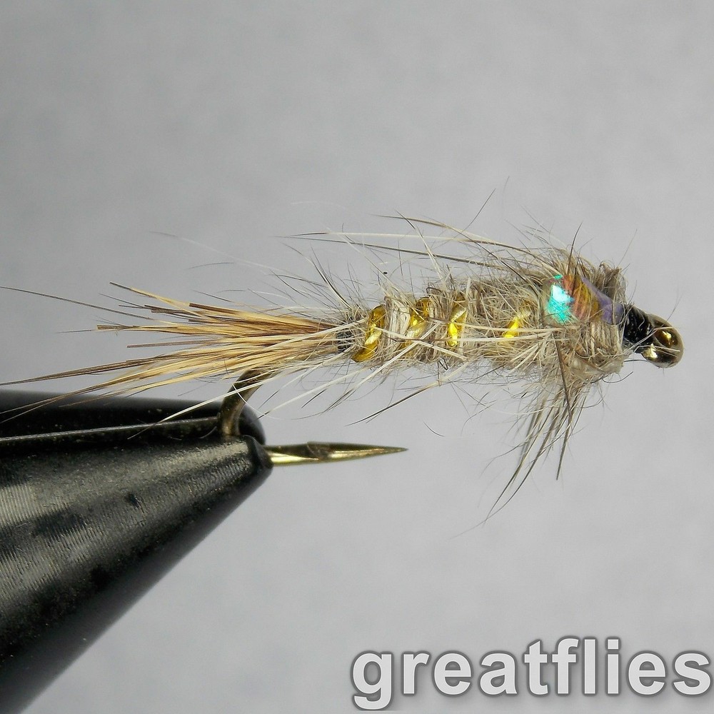 1 dozen (12) - Gold Ribbed Hare's Ear - FLASH BACK