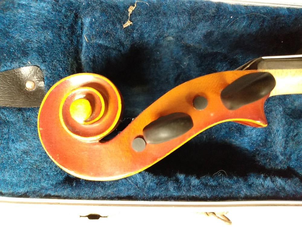 Beautiful Zeswitz Viola