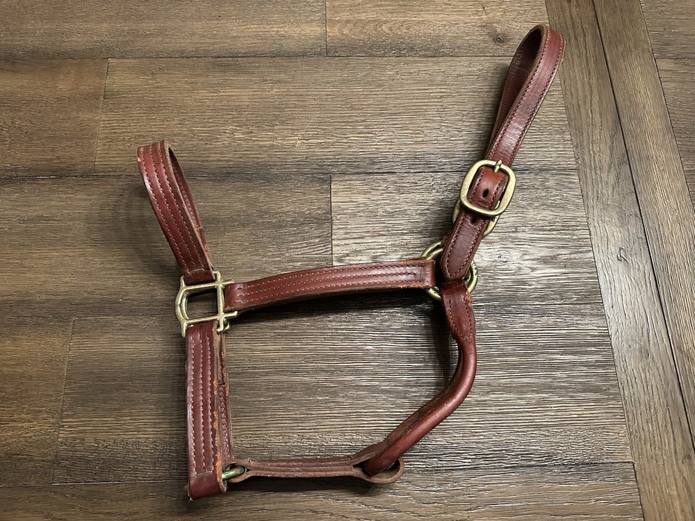 Horse Tack - Leather Track Halter
