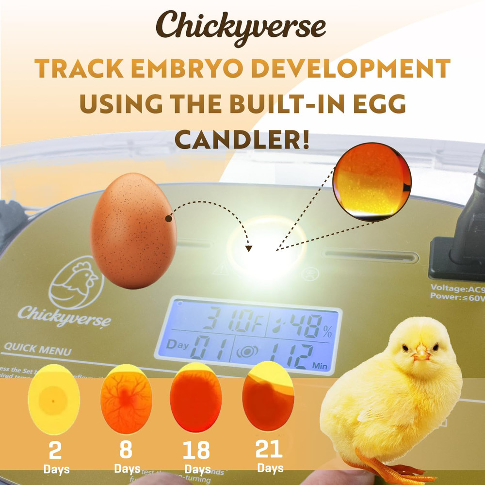 Egg Incubator for Hatching - 24-48 Eggs Capacity - Automatic Egg Turner & Adjust