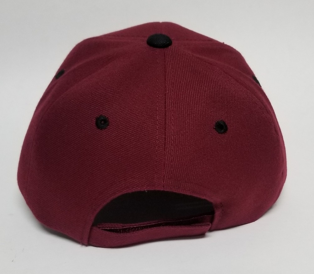 MICHOACAN MEXICO AVION BASEBALL HAT MARRON 2LOGOS ADJUSTABLE NEW