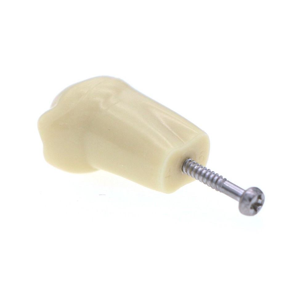 M8014-2 Dental Frasaco AG3 Type Restorative Typodont Model 32Pcs Removable Teeth