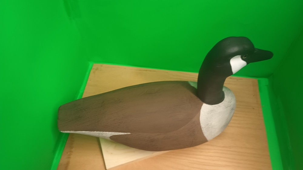 Canadian Goose Rigged Decoy/ Solid Wood