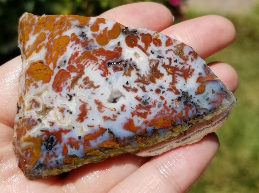 Wingate Pass - Plume Agate - Slab