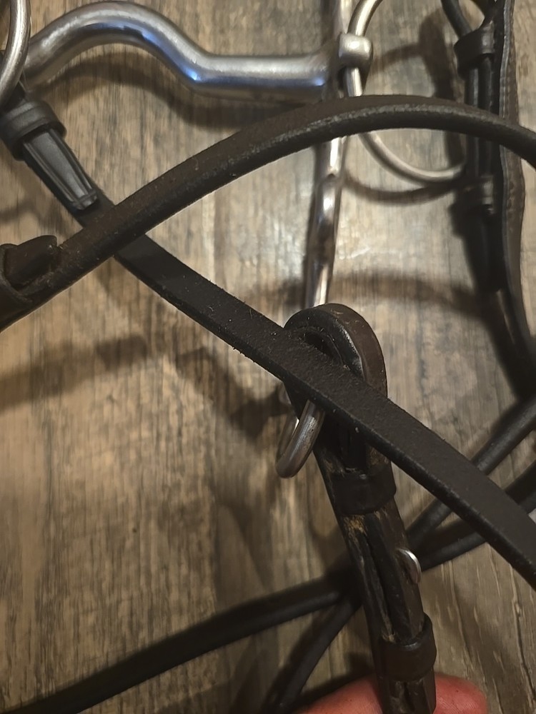 Horse Bit With Reins