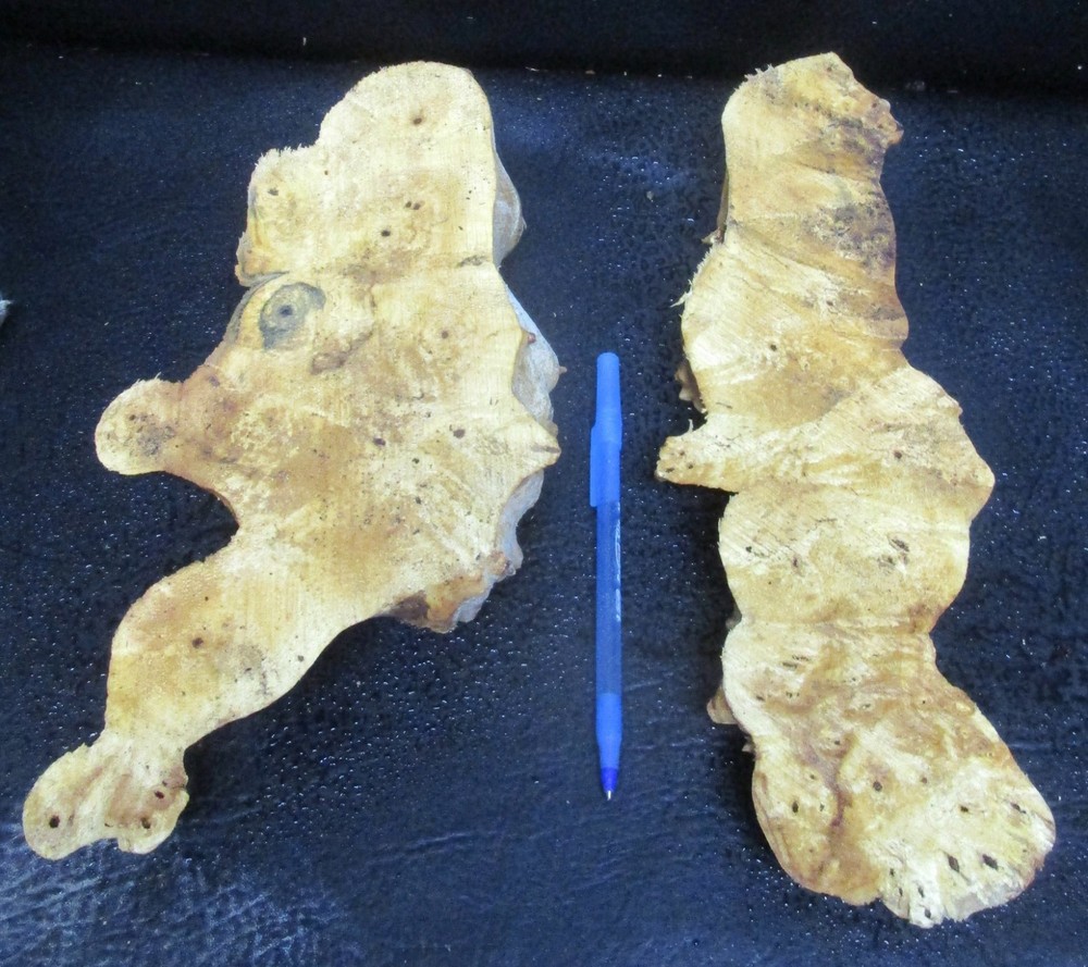 2pc Buckeye Burl end caps/cut offs #D411 assorted sizes