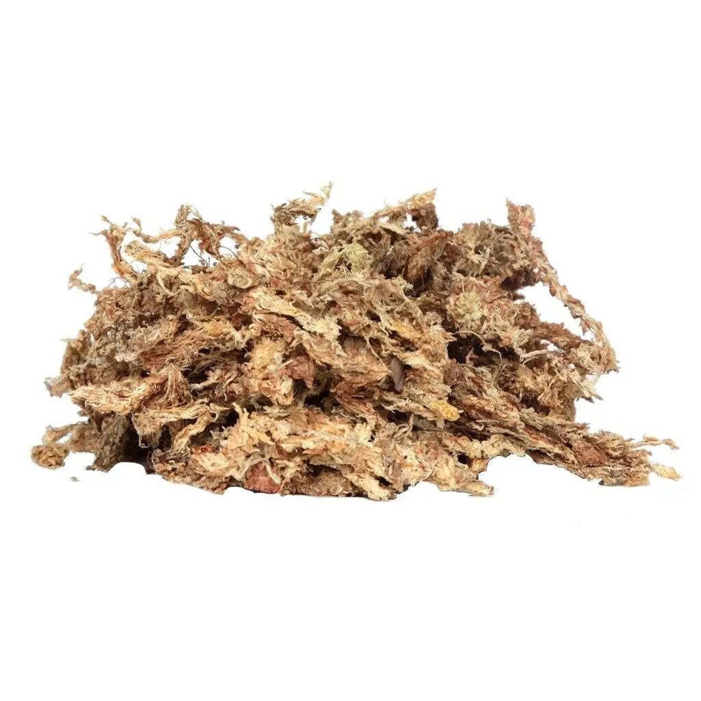 Orchid Nerd  Compressed Sphagnum Moss 150 Grams