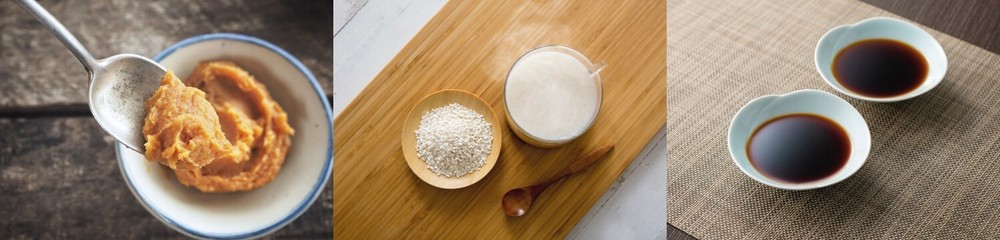 Koji Kin Starter Spore 20g for 15kg Best for Making Rice Miso Barley Miso Japan